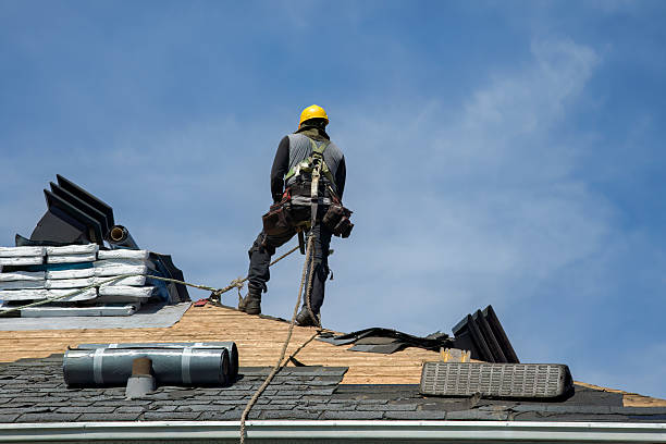 Professional Roofing technician working in Richwood, MN